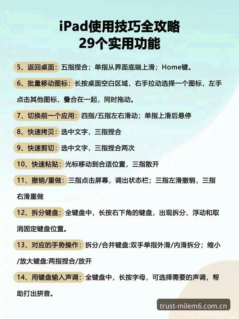 米乐m6平台下载最新版实用指南：从安装到体验的全流程高效操作